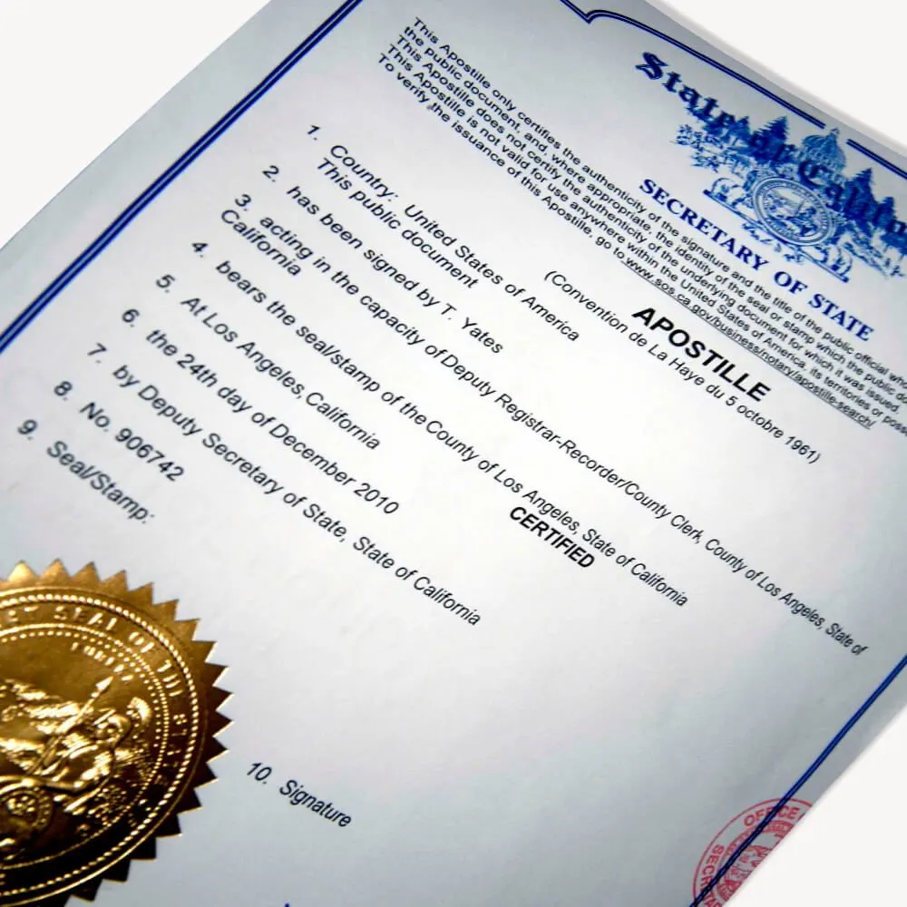 Importing a Car from Germany: Documents and Translations You Need